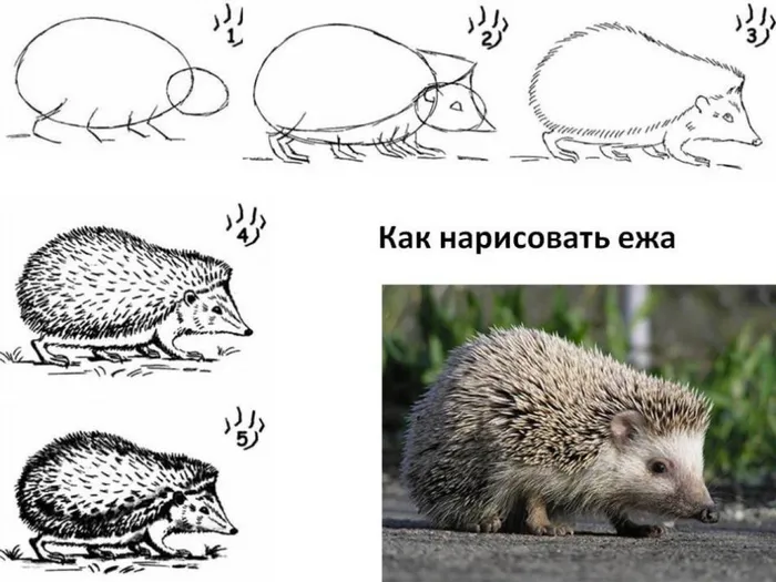 OrHV_XoG1Qg