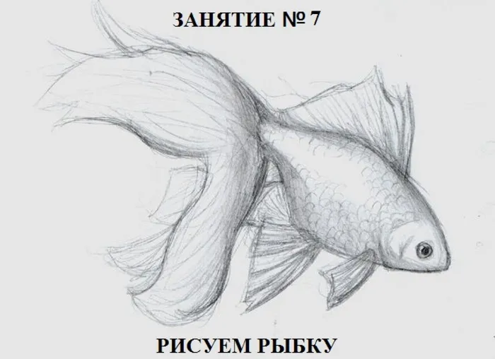 1ef9d72850c29730a5ed7ca3b6f9e940