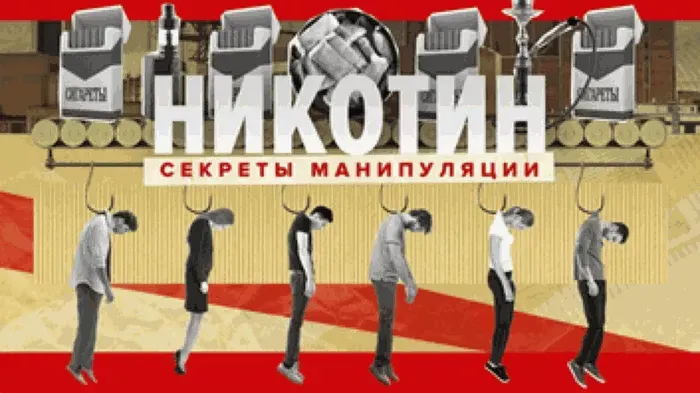 e7573777-e815-474a-9a2c-af5d45e0a3ab.webp