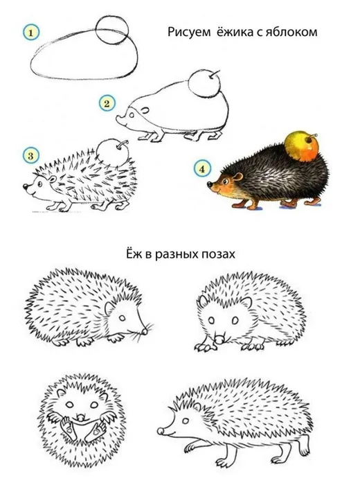 JoxVMXQ31n8