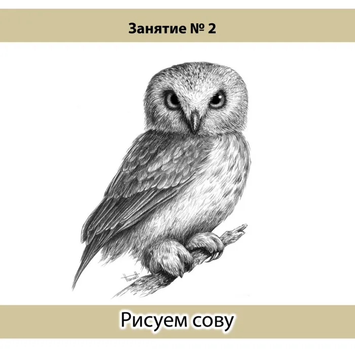 Nkh2PZSBeDg
