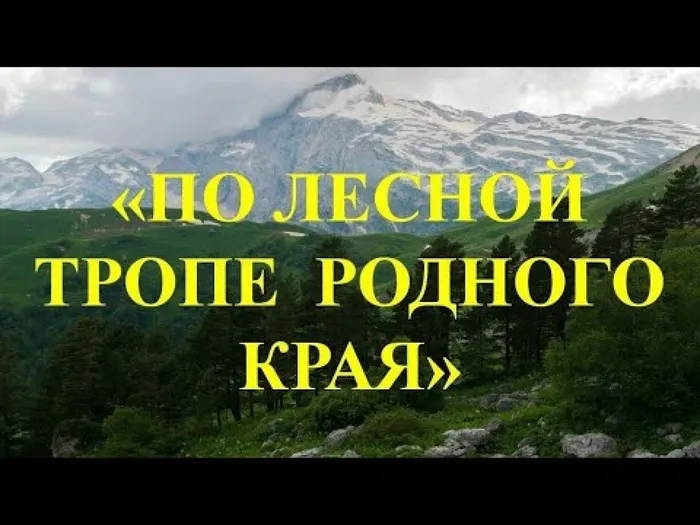 hqdefault