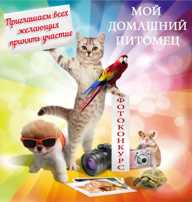 7oUUtAVaYY4